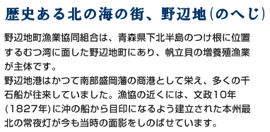 歴史ある北の海の街、野辺地(のへじ)